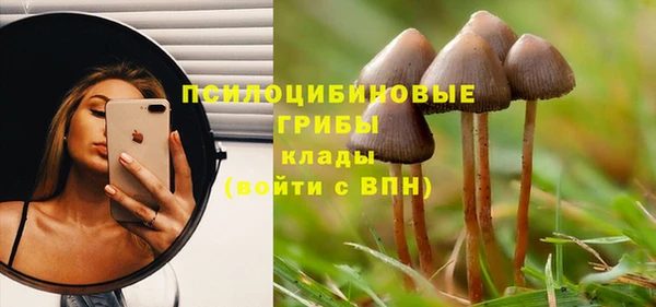 мдпв Горно-Алтайск