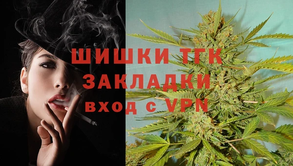 МДПВ Горнозаводск