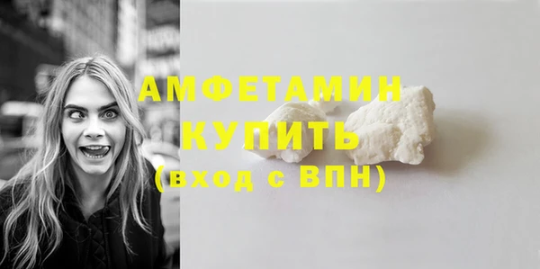 ГАЛЛЮЦИНОГЕННЫЕ ГРИБЫ Вязники