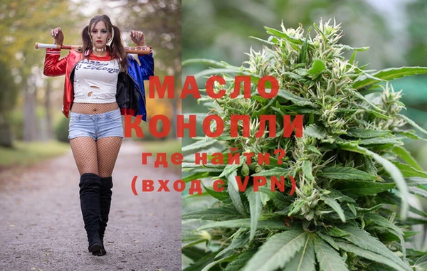 стаф Горняк