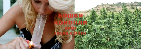 МДПВ Горнозаводск