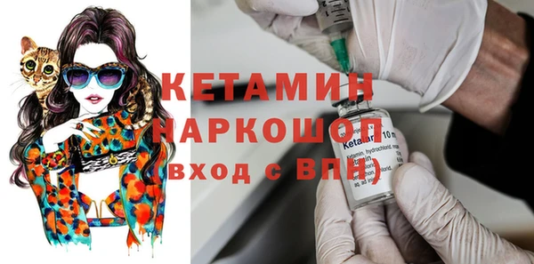 стаф Горняк