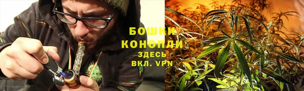 МДПВ Горнозаводск