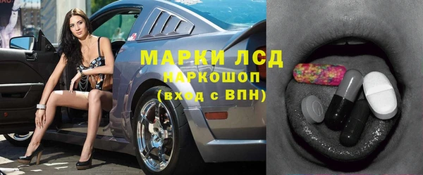 стаф Горняк