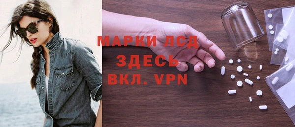 стаф Горняк