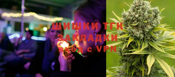 стаф Горняк