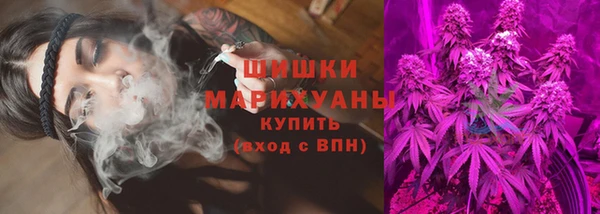 мдпв Горно-Алтайск