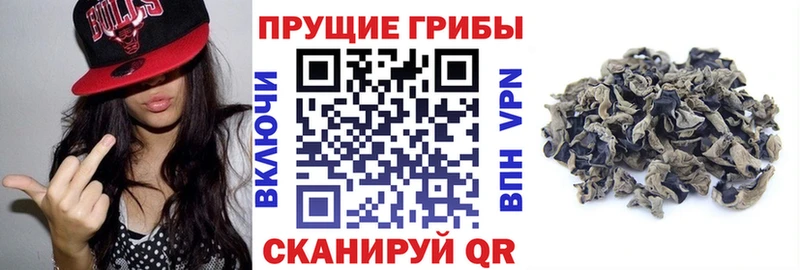 Псилоцибиновые грибы GOLDEN TEACHER  где продают наркотики  Салават 